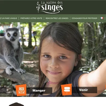 La Curiosite, Et Pop Et Chic !