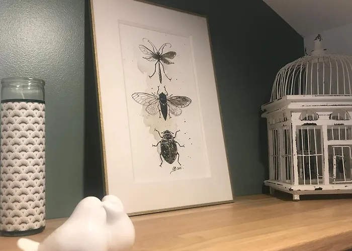 La Curiosité, Et Pop Et Chic ! Pensión Poitiers