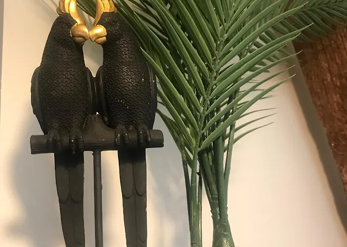 La Curiosité, Et Pop Et Chic ! Pensión Poitiers